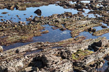 Ayrıntı faysa çökeller alternatif kat flysch denilen