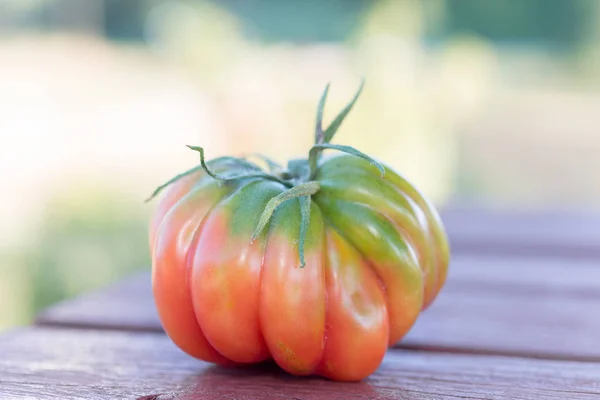 Crecer en un jardín orgánico — Foto de Stock