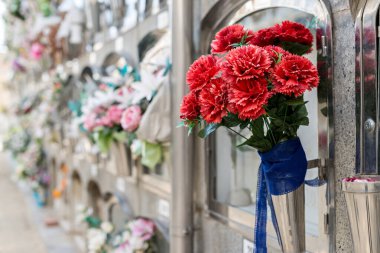 Oluşumdaki mezarların ve mezar nişlerinin ayrıntıları 