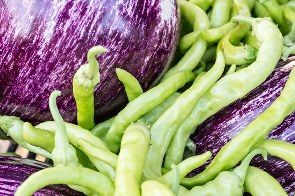 Crecer en un jardín orgánico — Foto de Stock