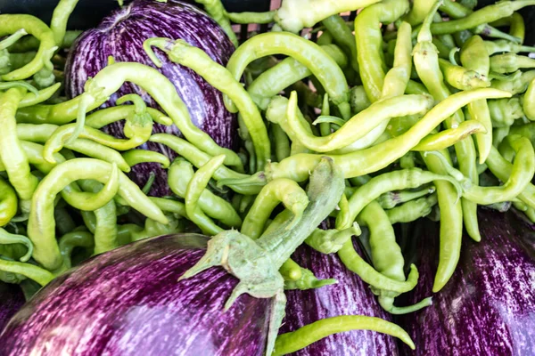 Crecer en un jardín orgánico — Foto de Stock