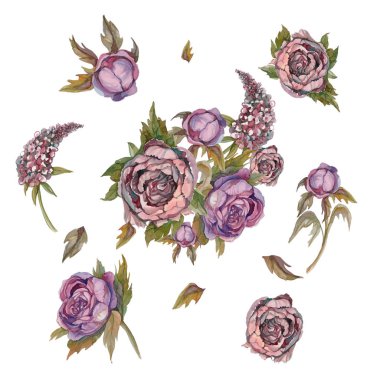 Sulu boya çiçekler. Gül, peonies, leylak. Öğeleri ayarlayın. Vintage buket çiçek. Buket düğün. Pastel renk. Pembe. Suluboya resim