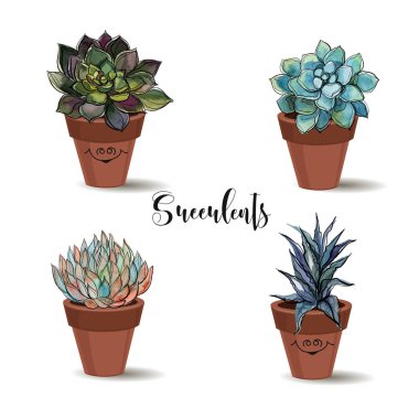Succulents kil tencere. Ayarlayın. Grafik suluboya ile. Vektör