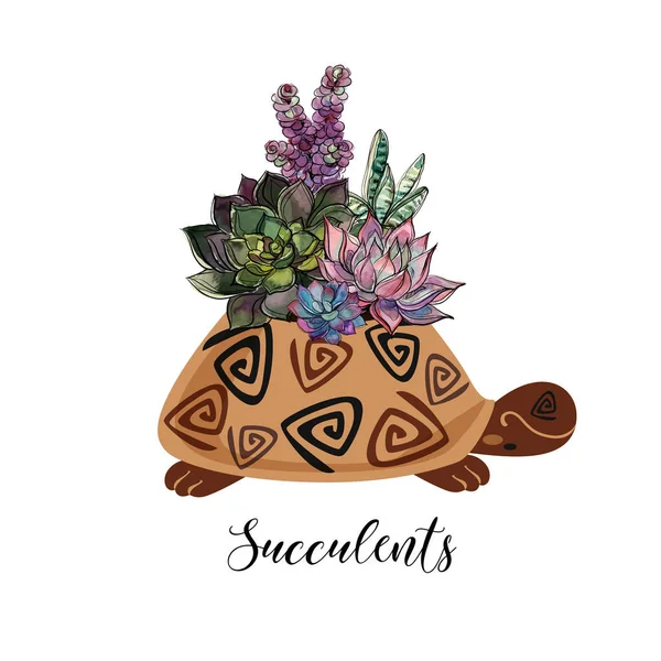 Egy Csokor Pozsgás Növények Egy Virág Pot Formájában Egy Teknős — Stock Vector