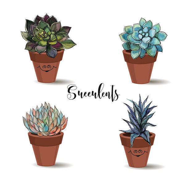 Succulents in clay pots. Set. Graphics with watercolor. Vector