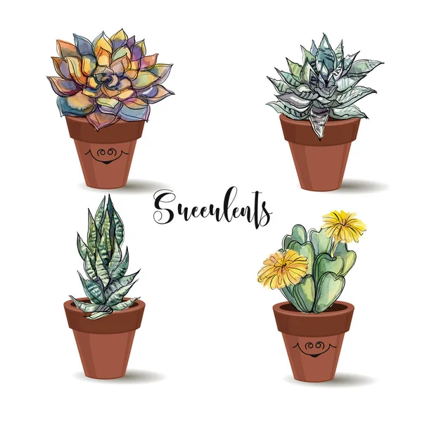 Succulents Dans Des Pots Argile Prêt Graphiques Avec Aquarelle Vecteur — Image vectorielle
