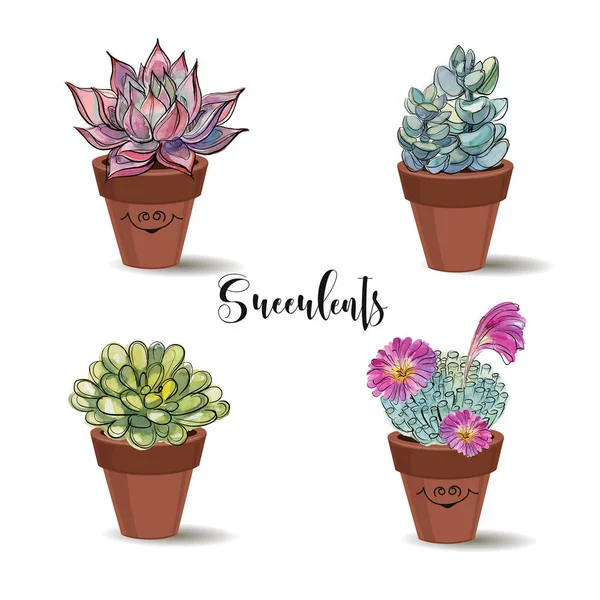 Succulents Dans Des Pots Argile Prêt Graphiques Avec Aquarelle Vecteur — Image vectorielle