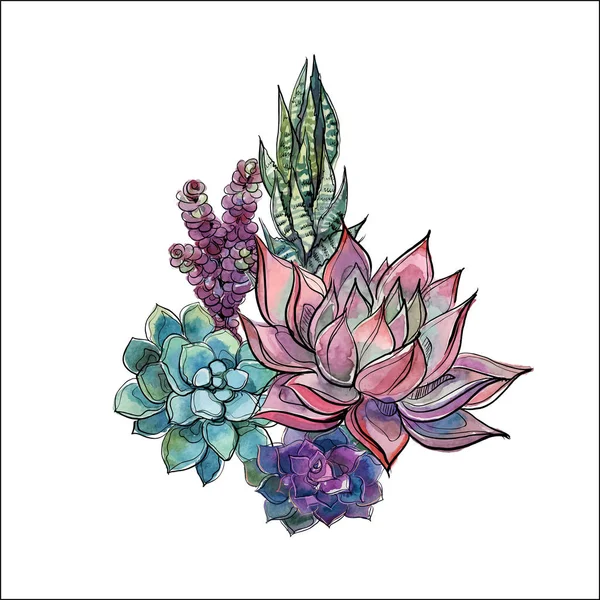 Pozsgás Növények Csokor Virágkötészeti Design Akvarell Vektoros Grafika — Stock Vector