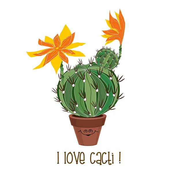 Okrągłe Kwitnący Kaktus Ilustracja Wektorowa Kaktusy — Wektor stockowy