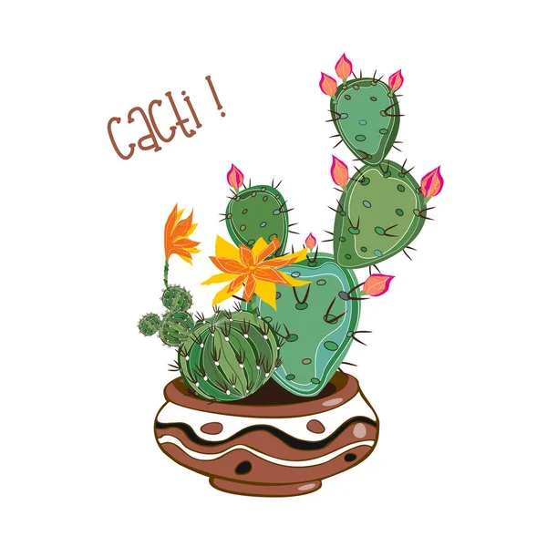 Cacti in a clay pot . Cacti in a pot . Vector illustration