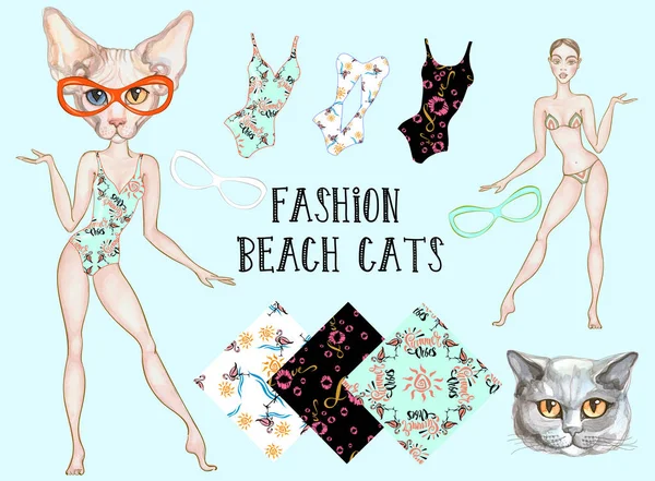 Moda Playa Gato Conjunto Trajes Baño Detalles Diseño — Archivo Imágenes Vectoriales