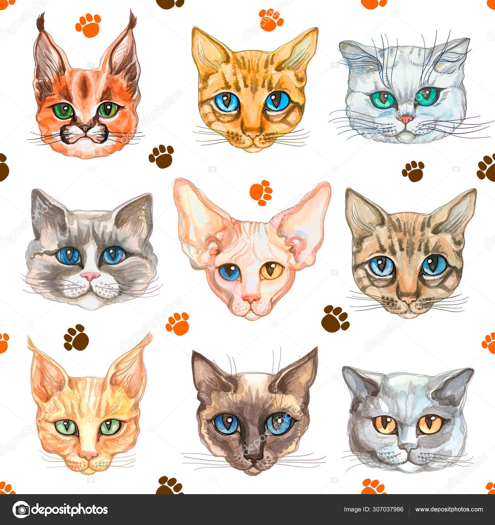 Seamless Pattern Cat Faces Different Breeds Cats Watercolor Vector Vector Image By C Grigaolga Vector Stock 307037986