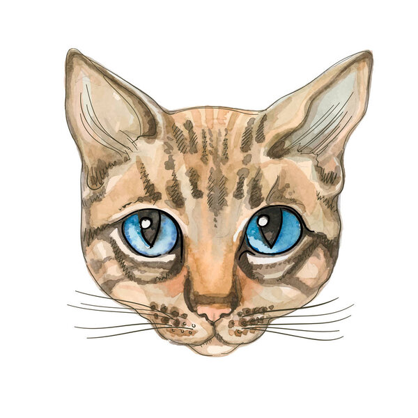 Cat face. Watercolor Vector Thoroughbred cat