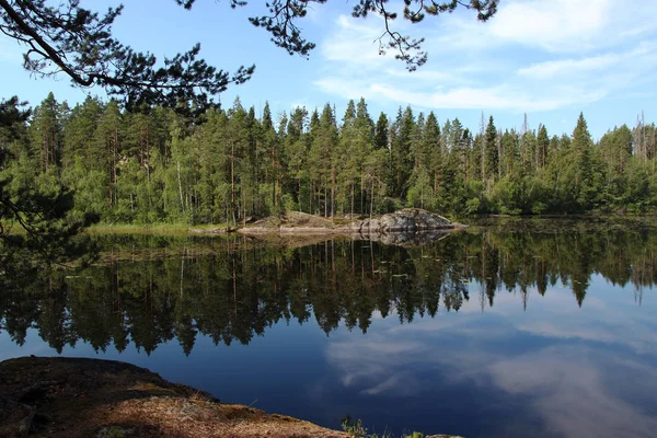 Lago Floresta — Fotografia de Stock