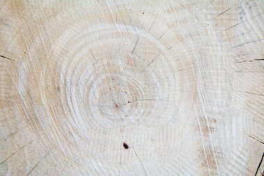 Güzel desenli ahşap tahtalar