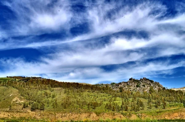 Panorama Eines Kleinen Waldes Den Sizilianischen Hügeln Italien Europa — Stockfoto