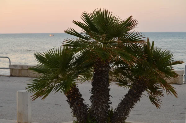 Hermoso Paisaje Marino Durante Amanecer Mar Mediterráneo Donnalucata Scicli Ragusa — Foto de Stock