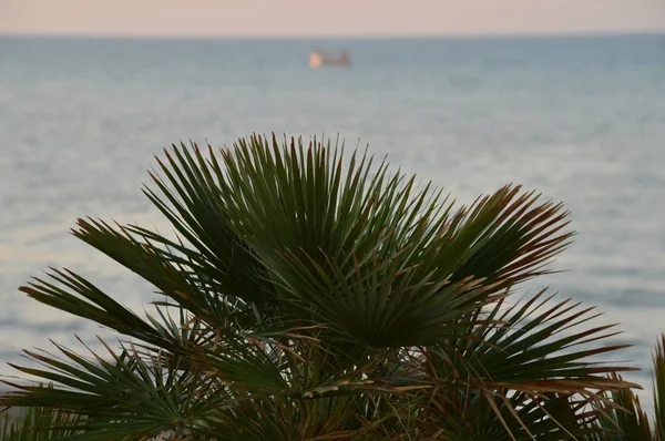 Hermoso Paisaje Marino Durante Amanecer Mar Mediterráneo Donnalucata Scicli Ragusa — Foto de Stock