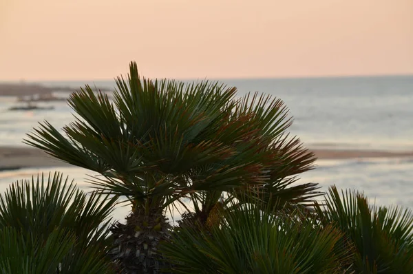 Hermoso Paisaje Marino Durante Amanecer Mar Mediterráneo Donnalucata Scicli Ragusa — Foto de Stock