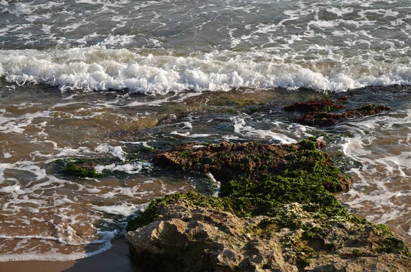 Güzel Sicilya Seascape Akdeniz Donnalucata Scicli Ragusa Italya Avrupa — Stok fotoğraf