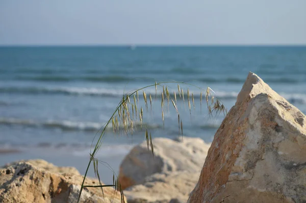 Güzel Sicilya Seascape Akdeniz Donnalucata Scicli Ragusa Italya Avrupa — Stok fotoğraf