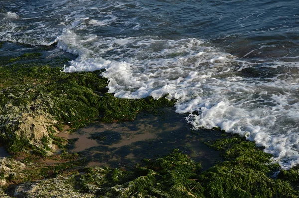 Vackra Sicilianska Seascape Medelhavet Donnalucata Scicli Ragusa Italien Europa — Stockfoto