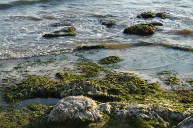 Güzel Sicilya Seascape, Akdeniz, Donnalucata, Scicli, Ragusa, Italya, Avrupa