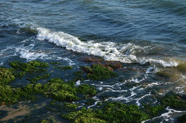 Prachtige Siciliaanse Zeegezicht Middellandse Zee Donnalucata Scicli Ragusa Italië Europa — Stockfoto