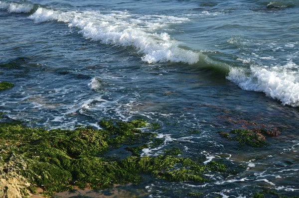 Vackra Sicilianska Seascape Medelhavet Donnalucata Scicli Ragusa Italien Europa — Stockfoto