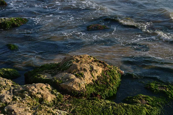 Vackra Sicilianska Seascape Medelhavet Donnalucata Scicli Ragusa Italien Europa — Stockfoto