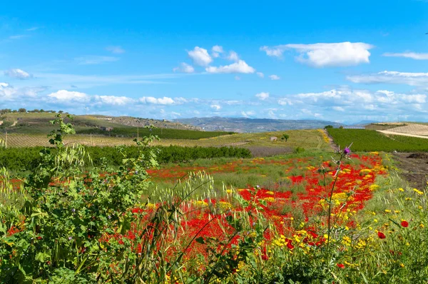 美しいシチリアの風景 カルタニセッタ イタリア ヨーロッパ — ストック写真