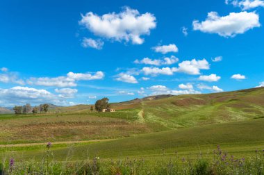 Green Sicilya Tepeleri, Caltanissetta, İtalya, Avrupa