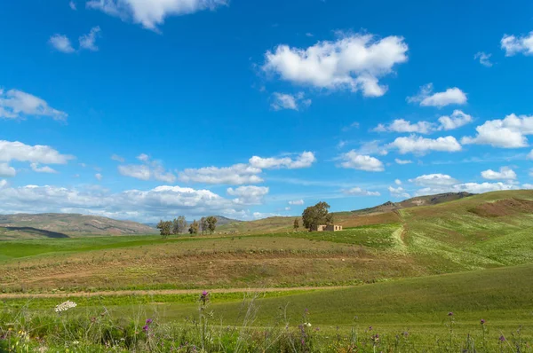 Wunderschöne Sizilianische Landschaft Caltanissetta Italien Europa — Stockfoto