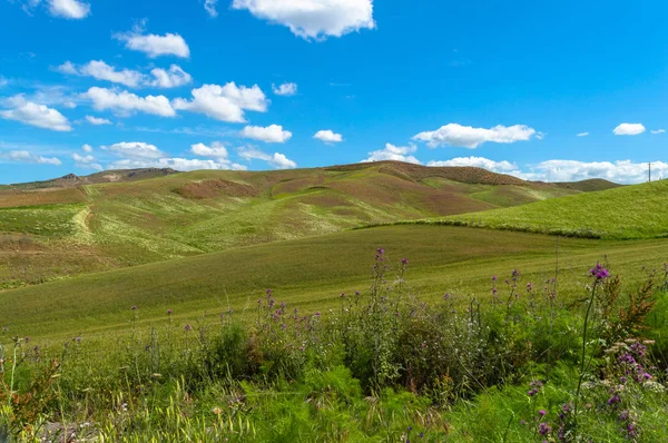 Colline Siciliane Verdi Caltanissetta Italia Europa — Foto Stock