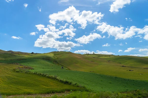 Colline Siciliane Verdi Caltanissetta Italia Europa — Foto Stock