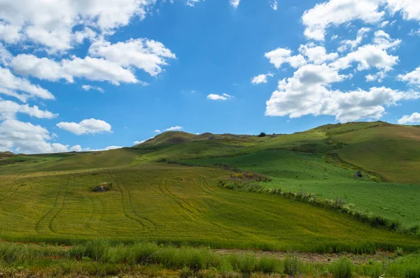 Colline Siciliane Verdi Caltanissetta Italia Europa — Foto Stock