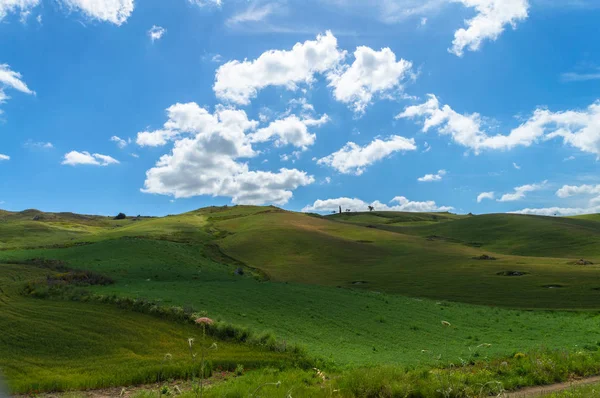 Colline Siciliane Verdi Caltanissetta Italia Europa — Foto Stock