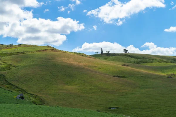 Colline Siciliane Verdi Caltanissetta Italia Europa — Foto Stock