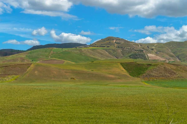 Green Sicilian Hills Caltanissetta Italia Europa —  Fotos de Stock