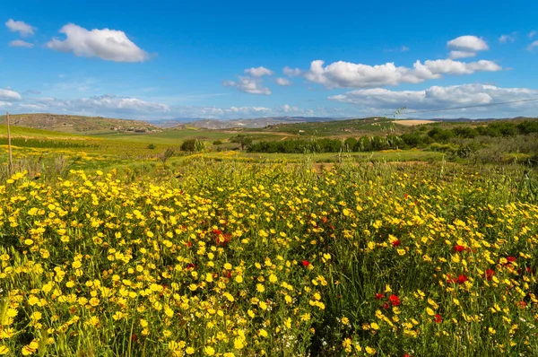 Malerische Sizilianische Landschaft Caltanissetta Sizilien Italien Europa — Stockfoto