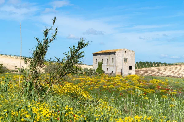 Malerische Sizilianische Landschaft Caltanissetta Sizilien Italien Europa — Stockfoto