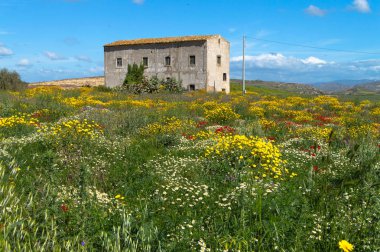 Pitoresk Sicilya Manzara, Caltanissetta, Sicilya, İtalya, Avrupa