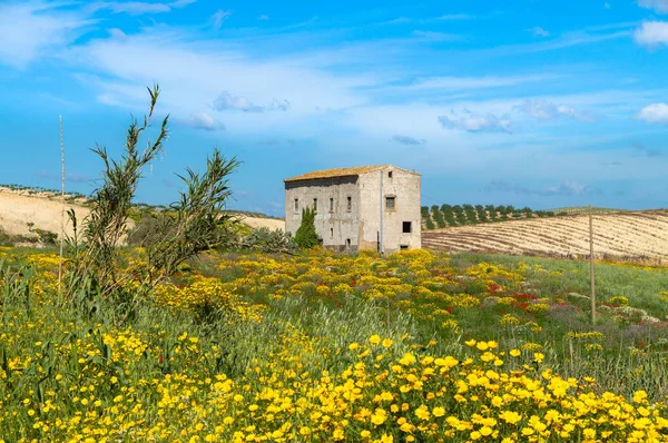 Malerische Sizilianische Landschaft Caltanissetta Sizilien Italien Europa — Stockfoto