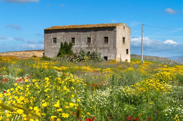 Pitoresk Sicilya Manzara, Caltanissetta, Sicilya, İtalya, Avrupa