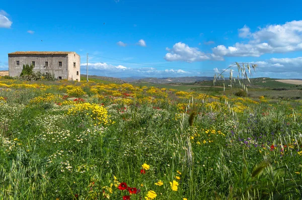 Malerische Sizilianische Landschaft Caltanissetta Sizilien Italien Europa — Stockfoto