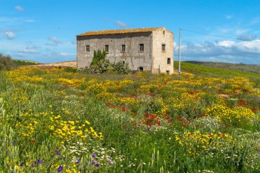 Pitoresk Sicilya Manzara, Caltanissetta, Sicilya, İtalya, Avrupa