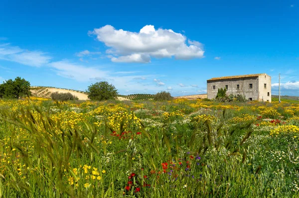 Pitoresk Sicilya Manzara, Caltanissetta, Sicilya, İtalya, Avrupa