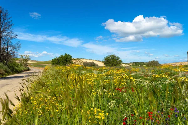 Malerische Sizilianische Landschaft Caltanissetta Sizilien Italien Europa — Stockfoto