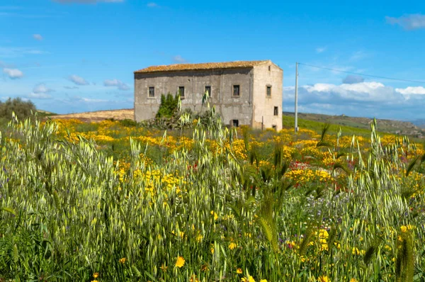 Pitoresk Sicilya Manzara, Caltanissetta, Sicilya, İtalya, Avrupa