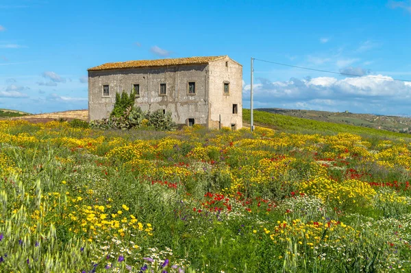 Pitoresk Sicilya Manzara, Caltanissetta, Sicilya, İtalya, Avrupa